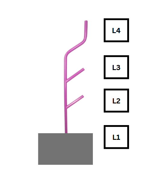 Coral has 4 levels, starting with 1 at bottom and 4 at top